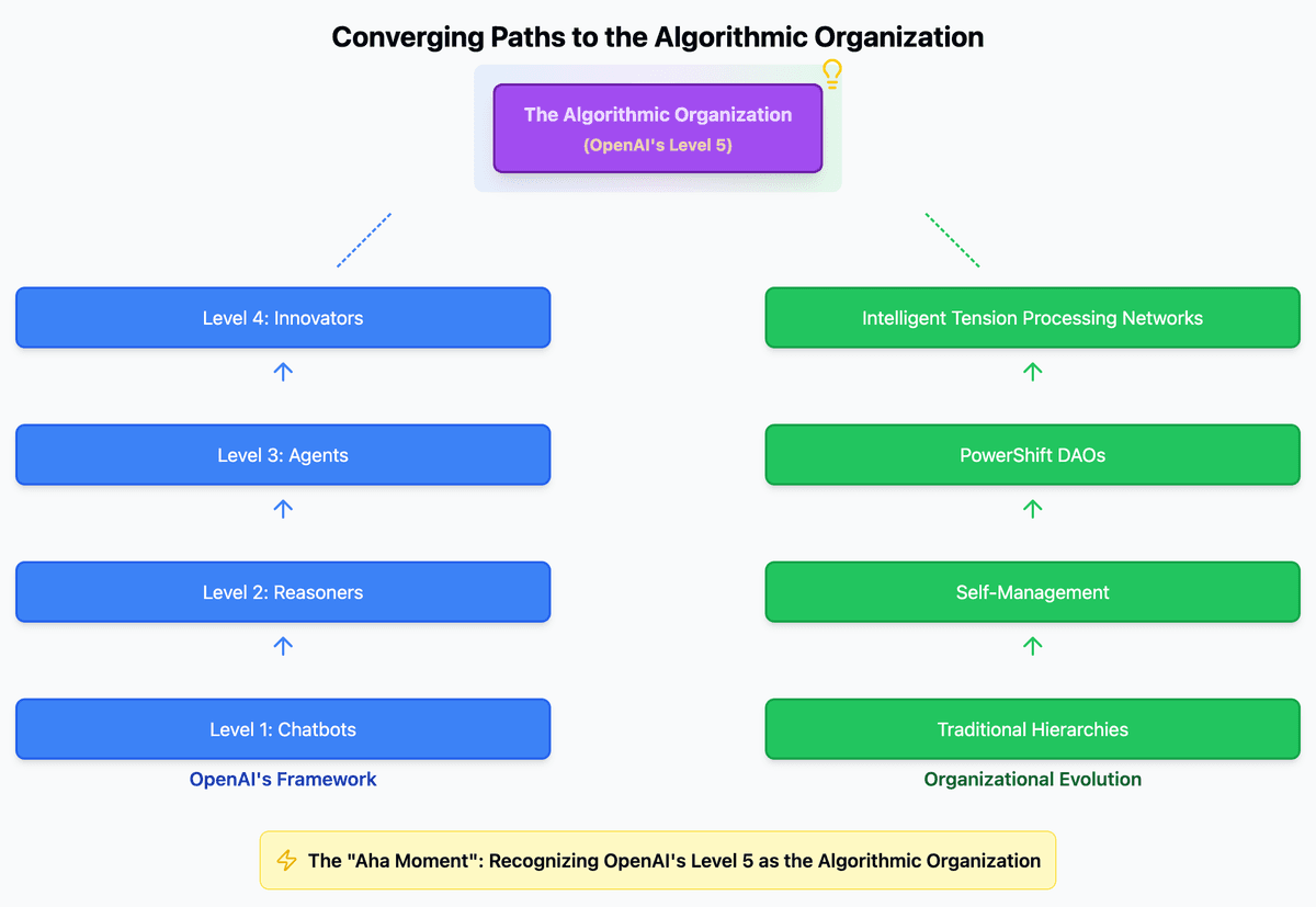 Level 5 Algorithmic Organization